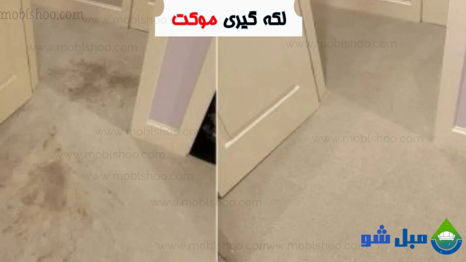 لکه گیری موکت در حال انجام شستشوی موکت در محل