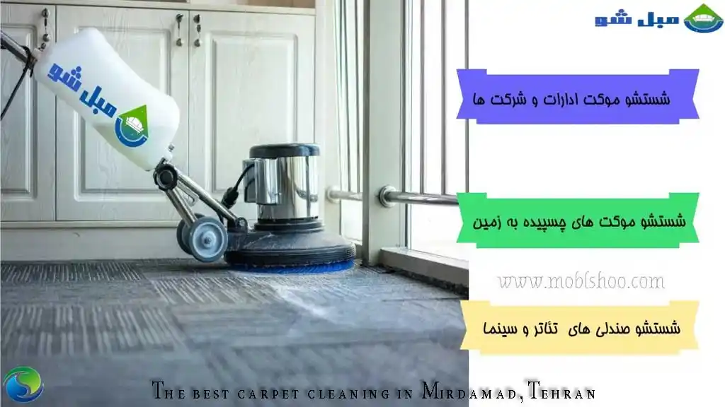 قالیشویی در میرداماد