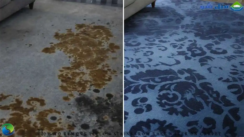 آموزش شستشوی موکت در منزل