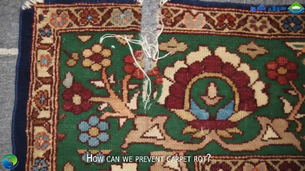 روشهای جلوگیری از پوسیدگی فرش