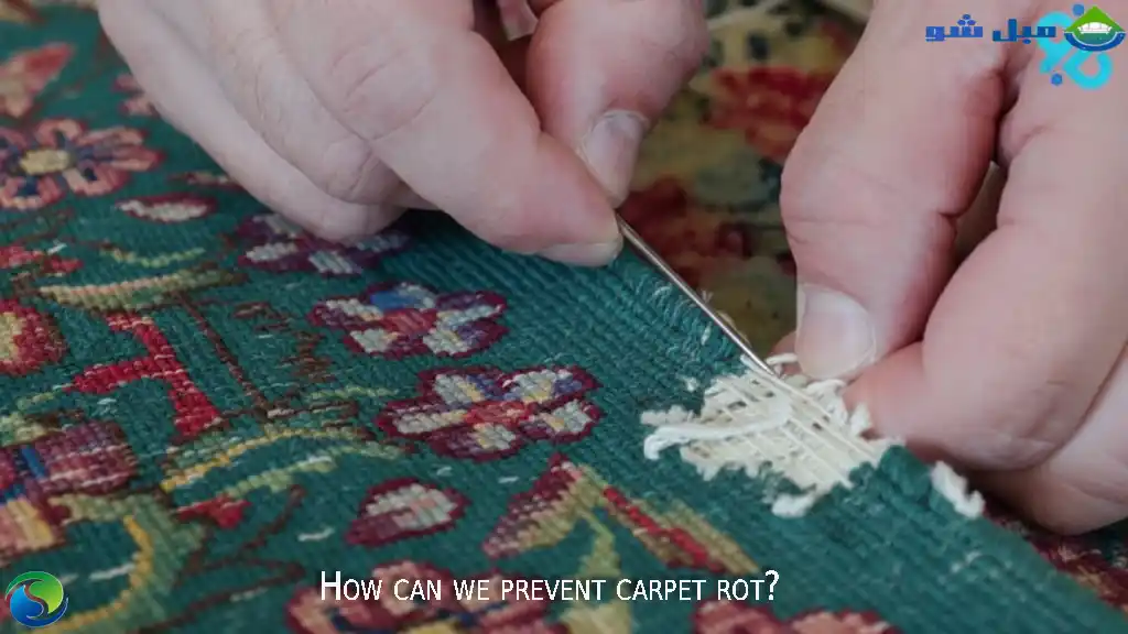 پوسیدگی فرش چیست و چرا اتفاق میافتد؟