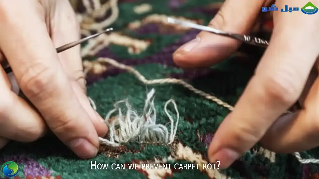 تشخیص زودهنگام علائم پوسیدگی فرش