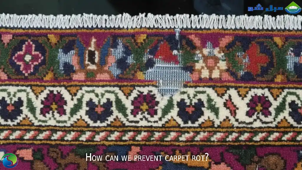 عوامل اصلی پوسیدگی فرش