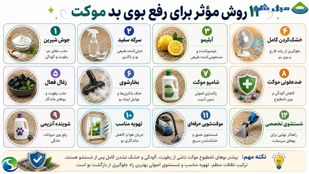 روش های موثر برای رفع بوی بد موکت