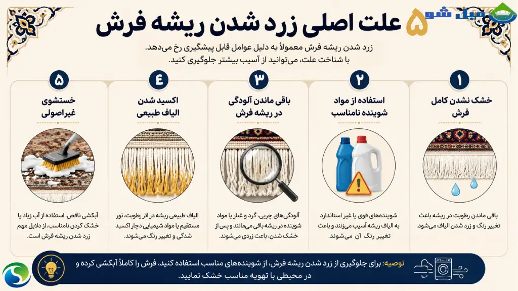 اینفوگرافیک ۵ علت اصلی زرد شدن ریشه فرش شامل رطوبت، شوینده نامناسب، آلودگی، اکسید شدن الیاف و شستشوی غیراصولی
